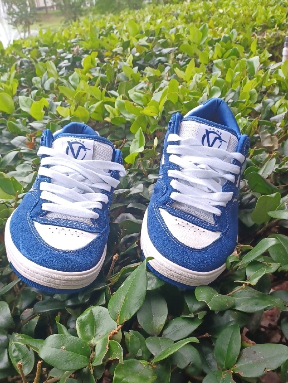 -- Vans Rowan Men’s Navy Blue and White Skate Sneaker Size 11.5 - Picture 6 of 10